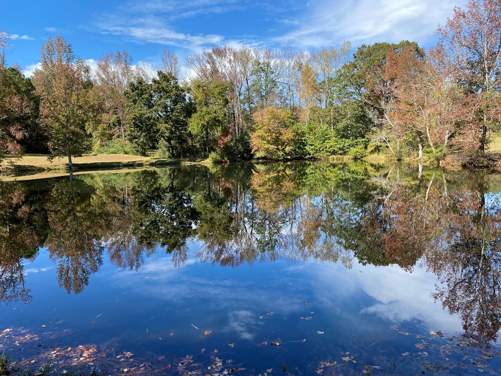 0 Warm Springs Road Midland, GA 31820 - Photo 6 of 26 Pond view from Dam