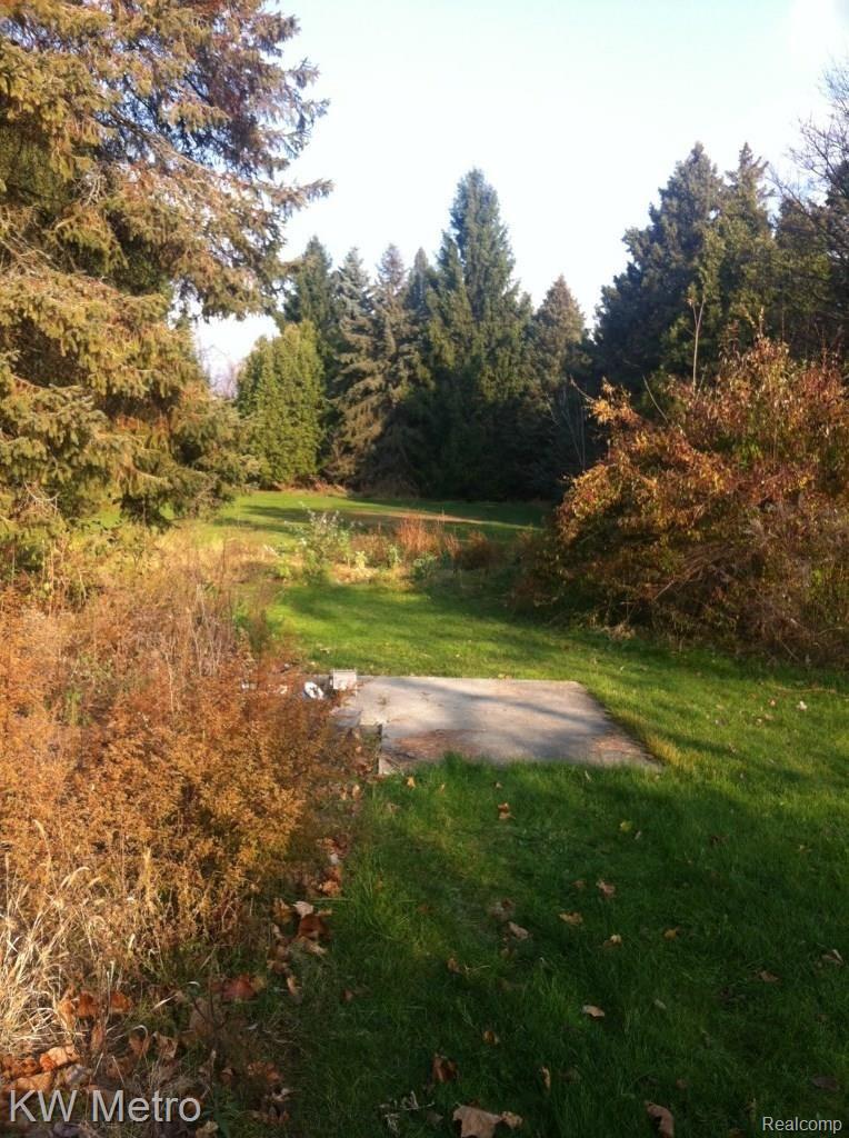 Back of the house land