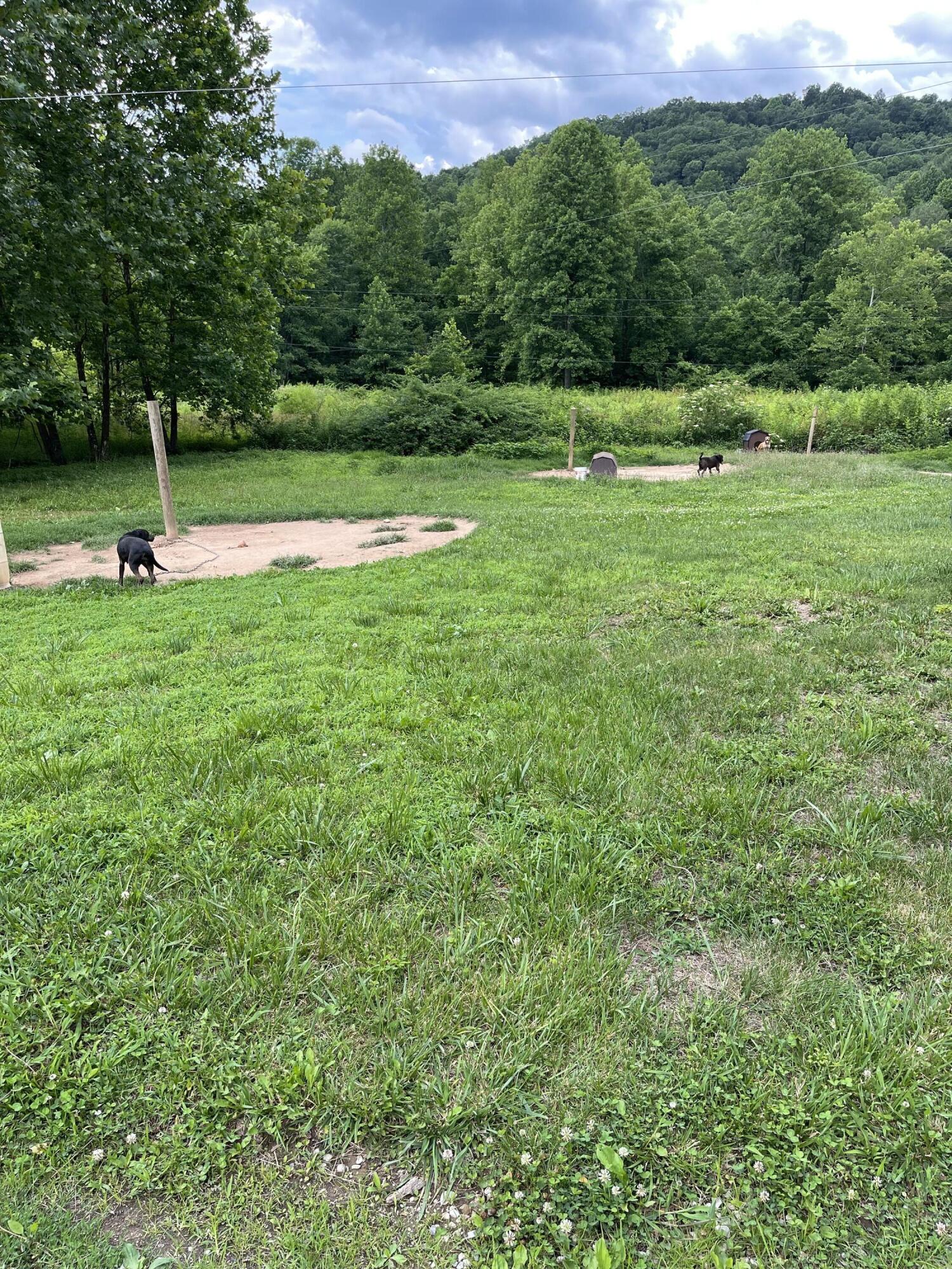 2853 Big Run Road Wallingford, KY 41093 - Photo 1 of 4 511AFD34-D6C2-46EB-8C66-9327447D6EFA