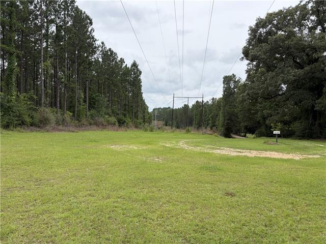 0 Thigpen Road Franklinton, LA 70438 - Photo 12 of 34