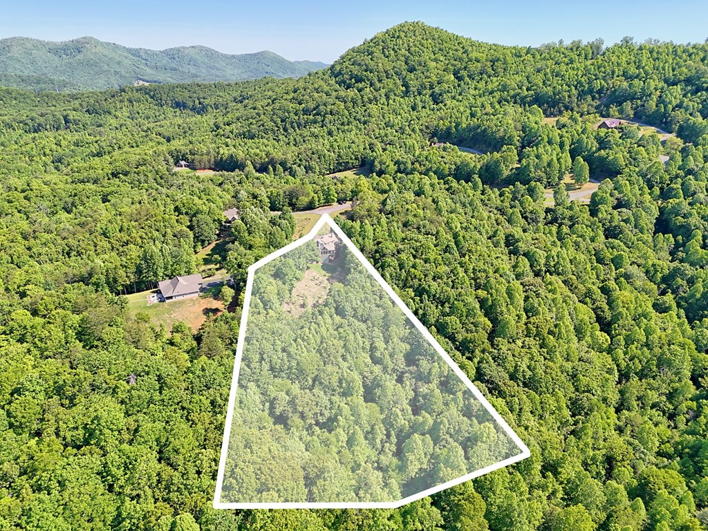 41 Elm Court Murphy, NC 28906 - Photo 2 of 75