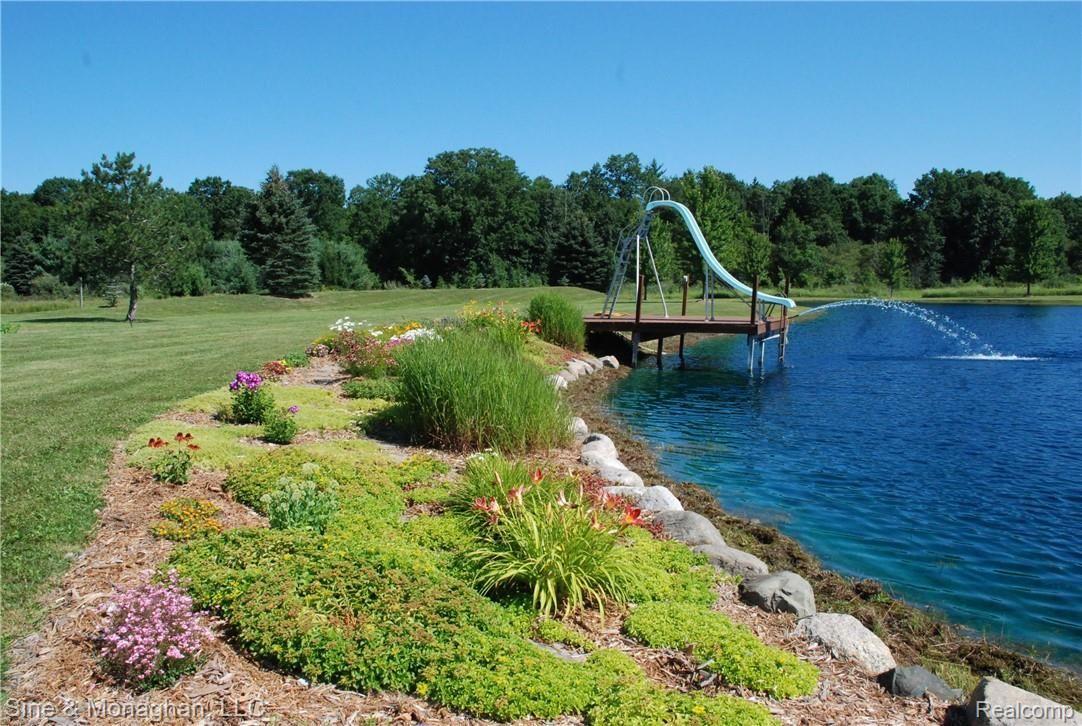 6768 Rattle Run Road St. Clair, MI 48079 - Photo 10 of 61 pond grass.JPG