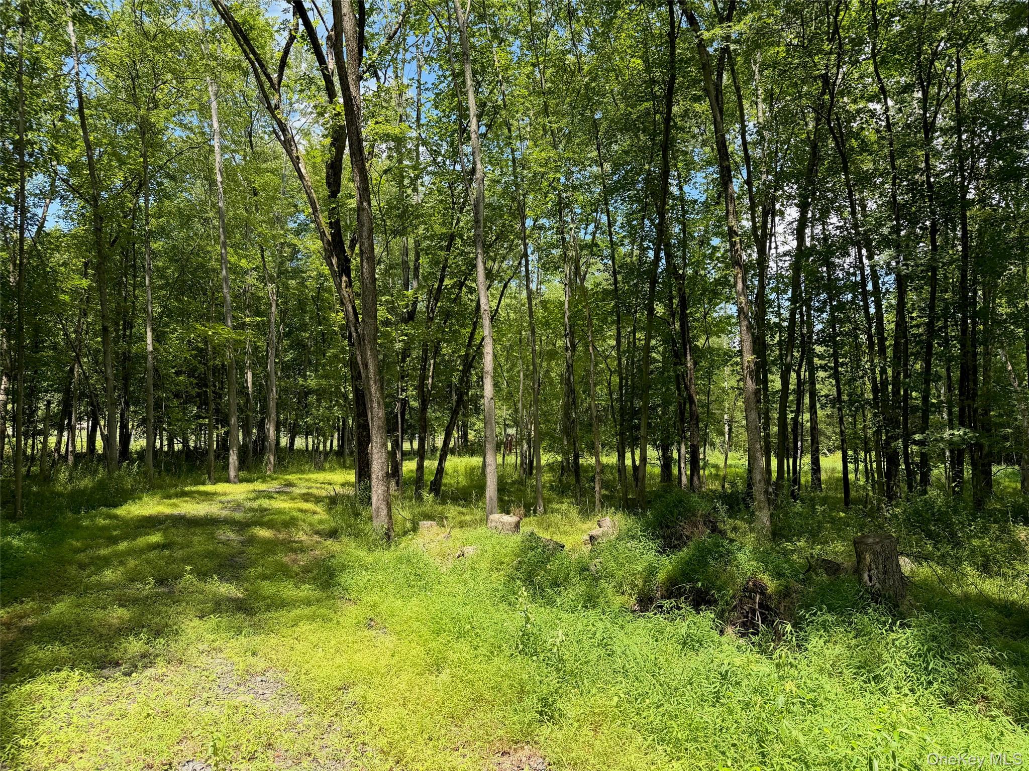 276 Tillson Lake Road Gardiner, NY 12589 - Photo 8 of 21 Winding driveway