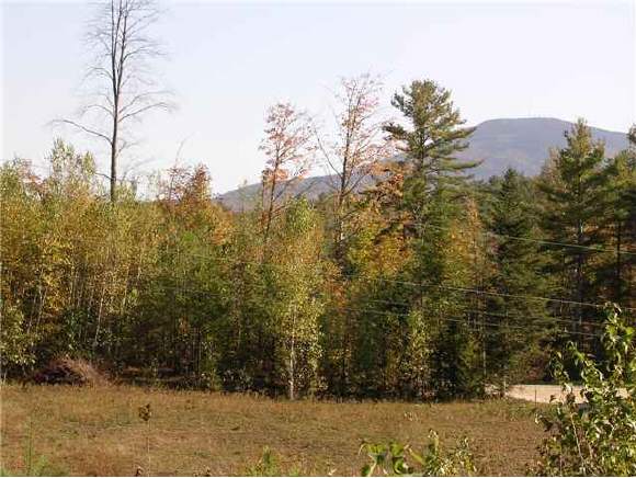 Lot 3 Clarke Road Wilmot, NH 03287 - Photo 1 of 1 Gallery Image 1