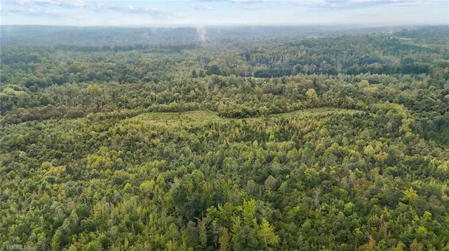 $129,000 | 0 High Rock School Road, Blanch, NC 27212