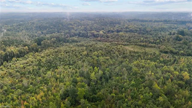 $129,000 | 0 High Rock School Road, Blanch, NC 27212