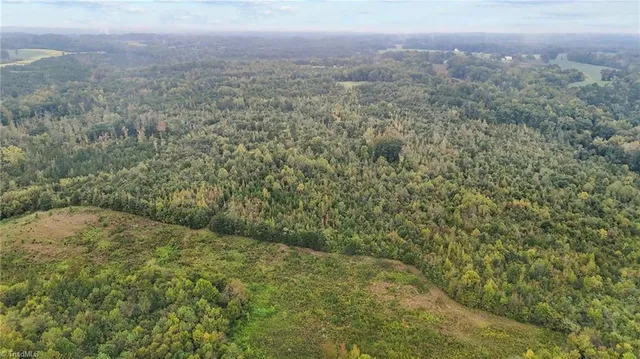 $129,000 | 0 High Rock School Road, Blanch, NC 27212