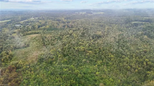 $129,000 | 0 High Rock School Road, Blanch, NC 27212