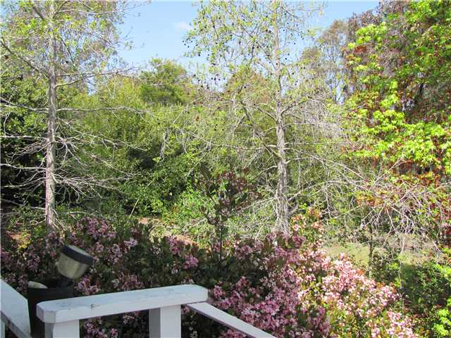 3554 Lone Jack Road Encinitas, CA 92024 - Photo 8 of 10