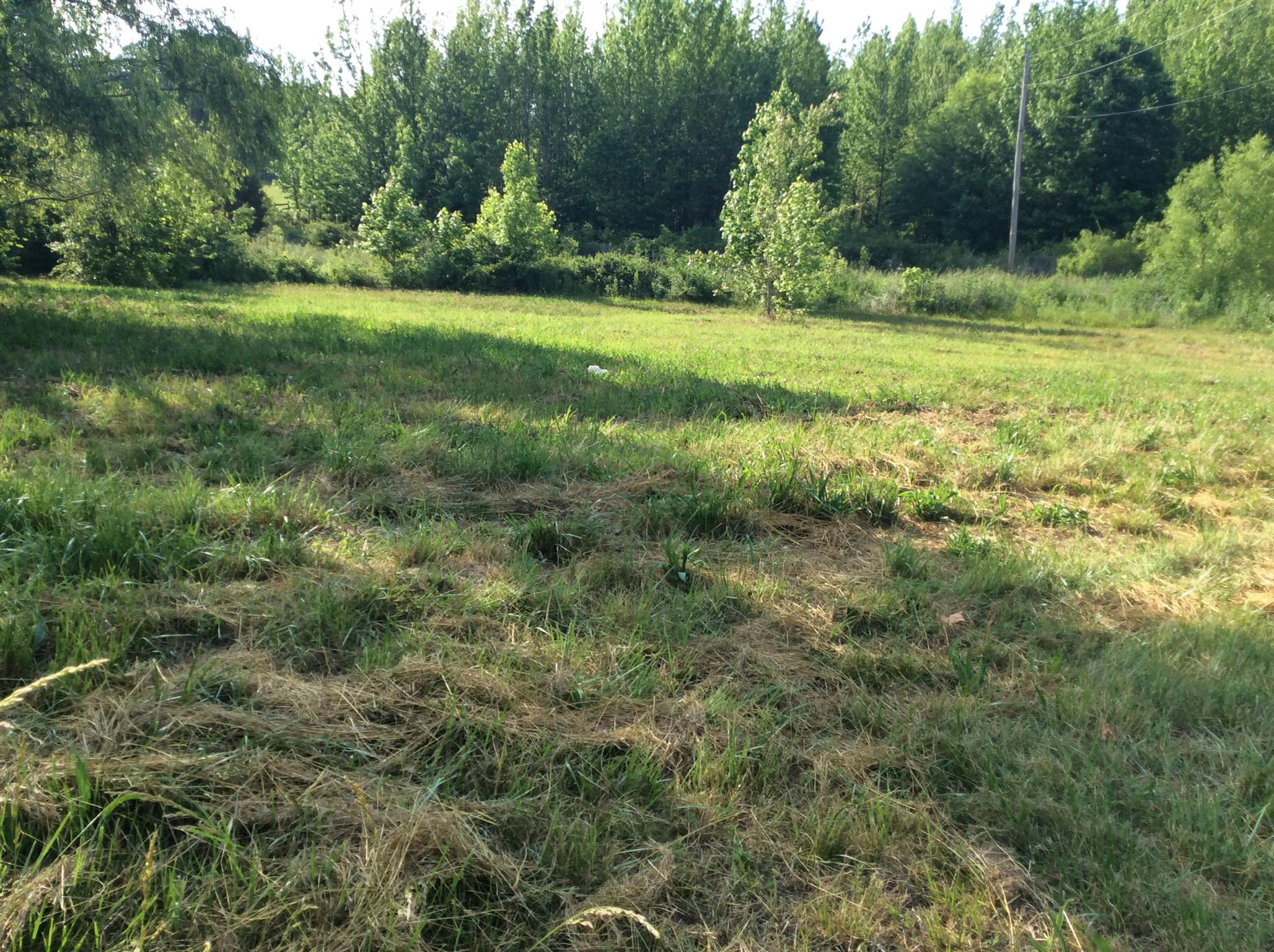 2085 Sugar Camp Road Springfield, TN 37172 - Photo 1 of 18 a view of outdoor space with deck and yard