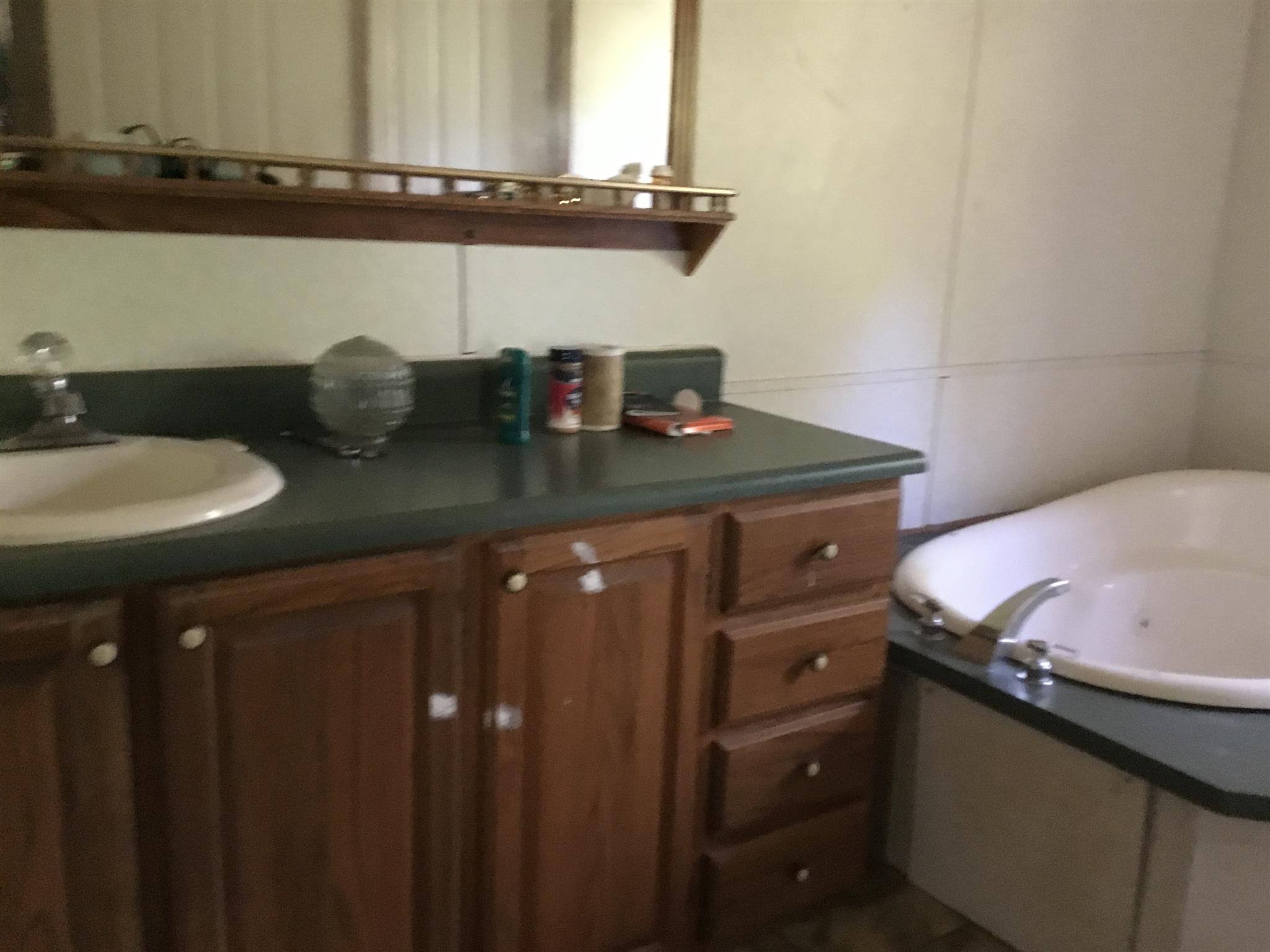 2085 Sugar Camp Road Springfield, TN 37172 - Photo 17 of 18 a bathroom with a sink and a mirror