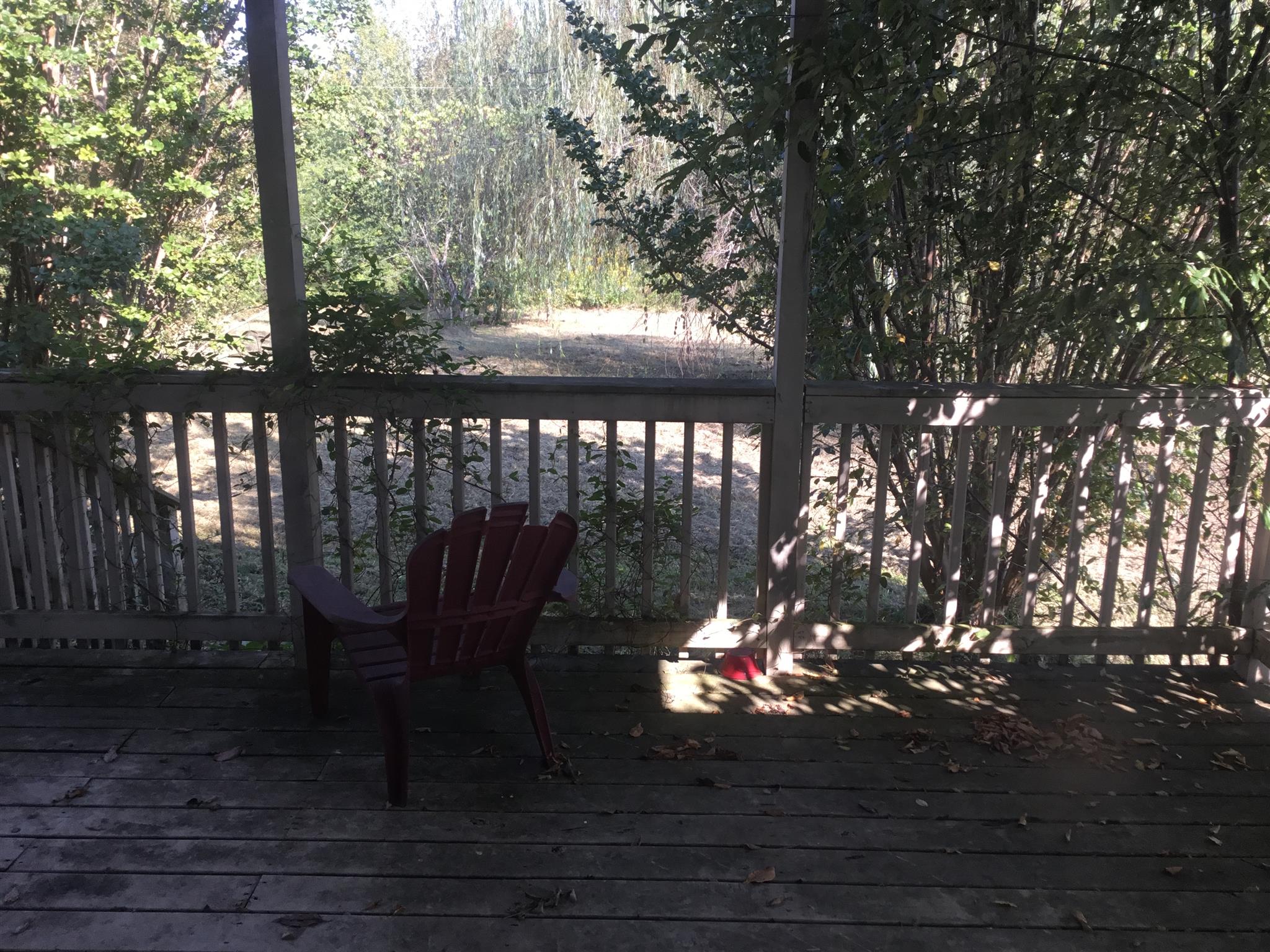 2085 Sugar Camp Road Springfield, TN 37172 - Photo 18 of 18 a view of a bench in a yard