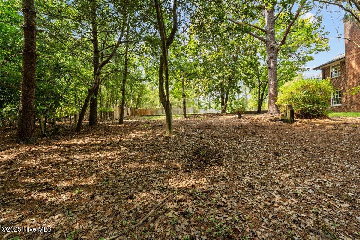 143 Shagbark Road West End, NC 27376 - Photo 15 of 70 Backyard - Pic 4