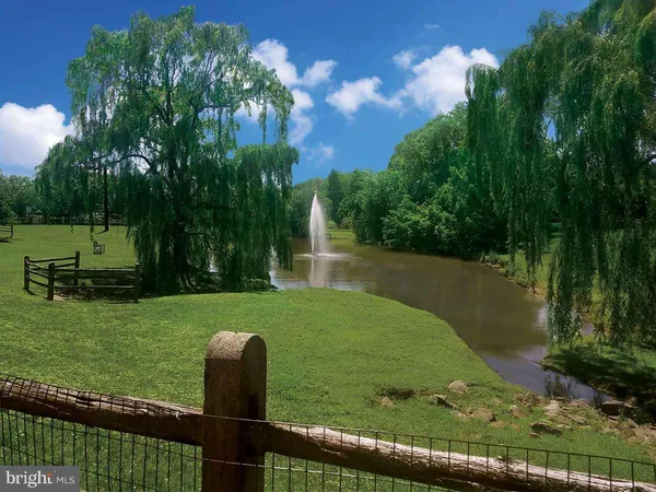 a view of a lake with a yard