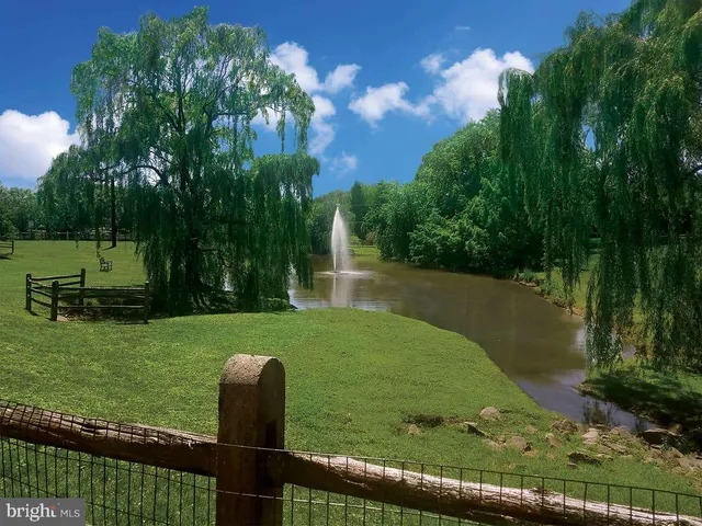 a view of a lake with a yard