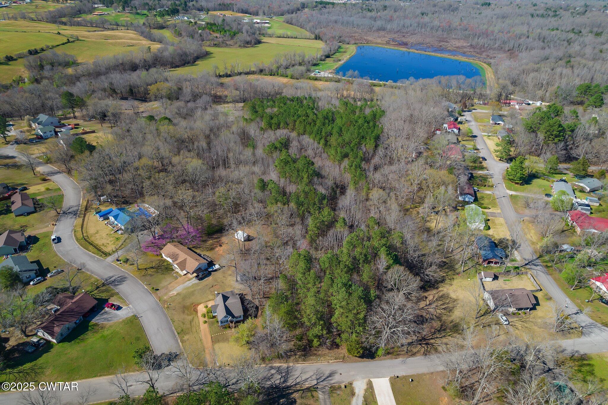 0 Dodd Street Lexington, TN 38351 - Photo 8 of 16 a view of lake