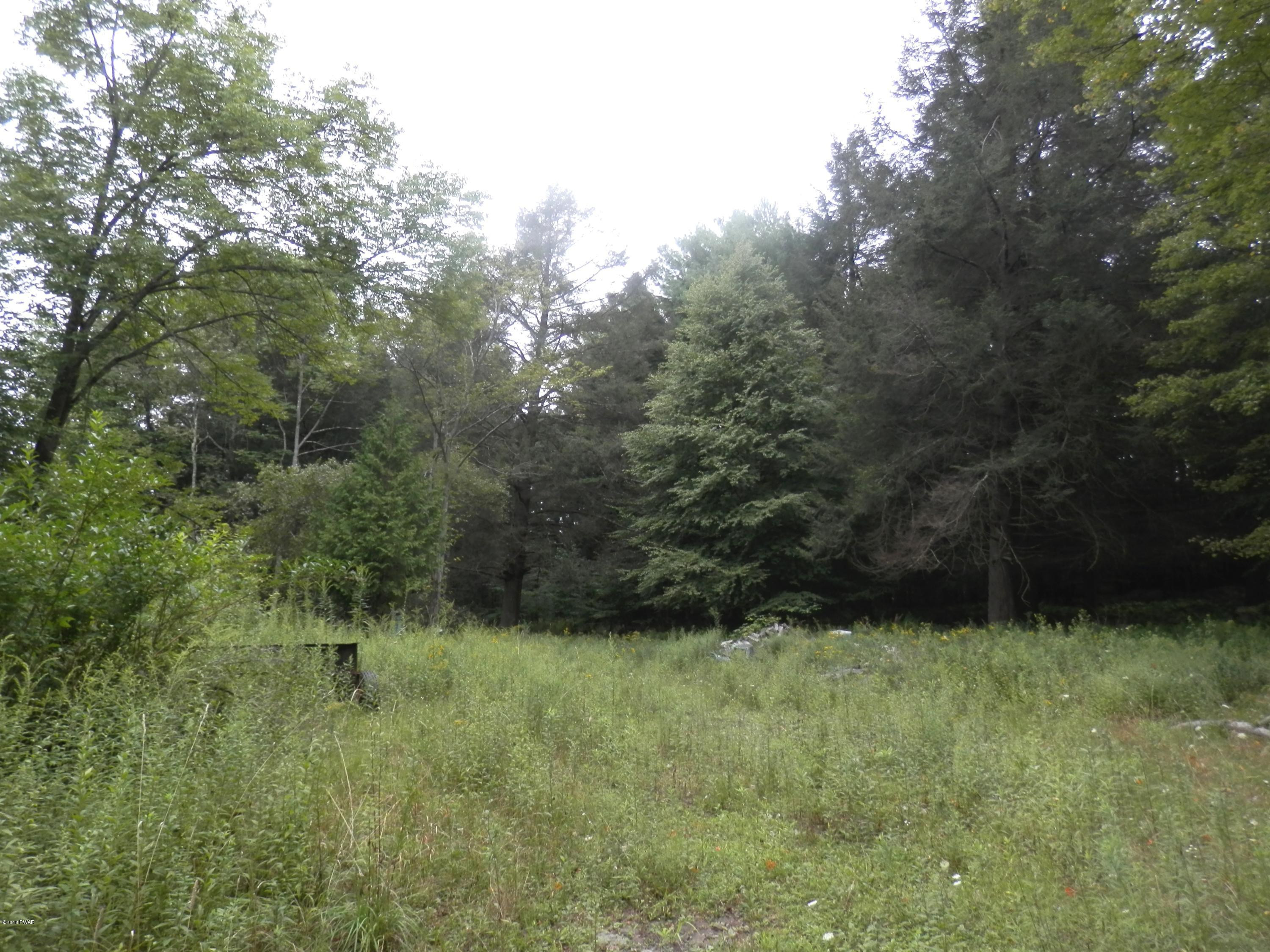 259 White Mills Road Honesdale, PA 18431 - Photo 1 of 5