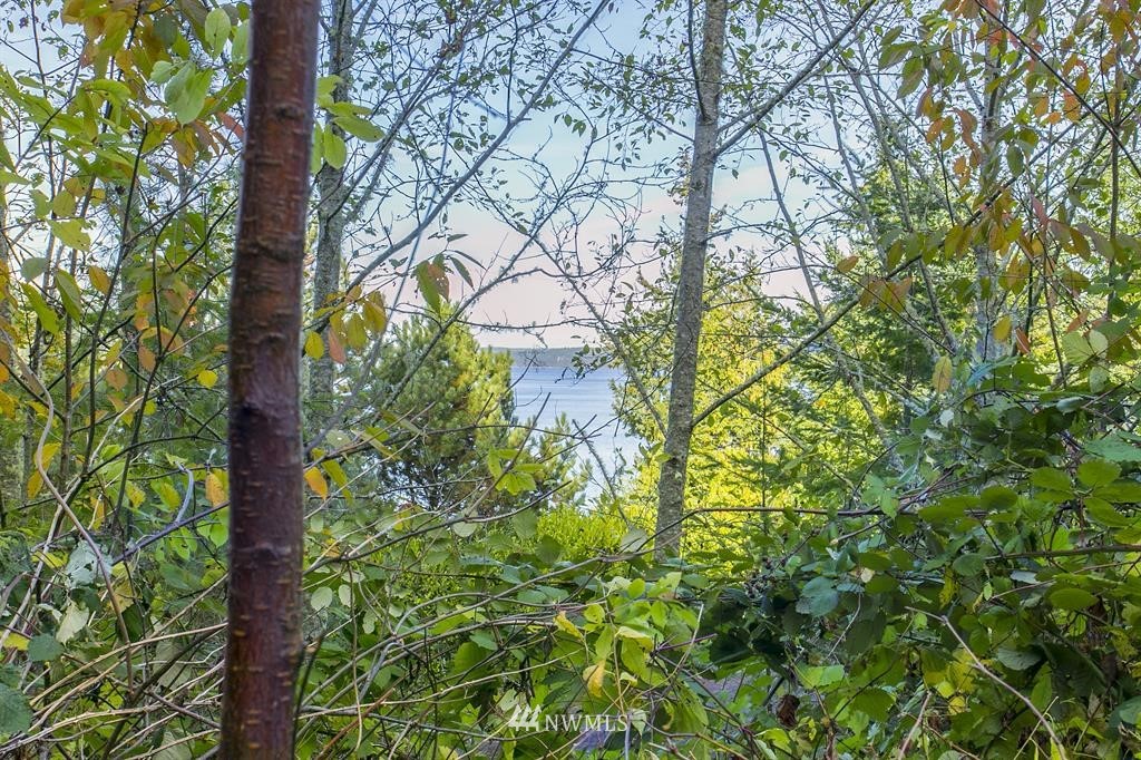 702 Fairmount Road Port Townsend, WA 98368 - Photo 11 of 15 Gallery Image 11