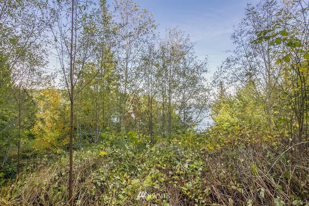 702 Fairmount Road Port Townsend, WA 98368 - Photo 12 of 15 Gallery Image 12