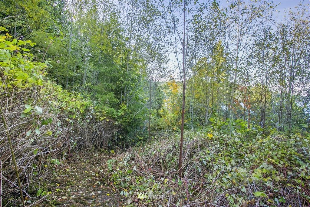 702 Fairmount Road Port Townsend, WA 98368 - Photo 13 of 15 Gallery Image 13