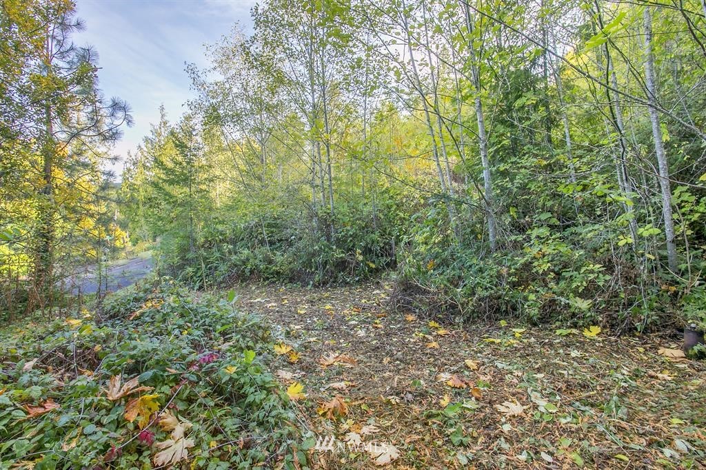 702 Fairmount Road Port Townsend, WA 98368 - Photo 9 of 15 Gallery Image 9