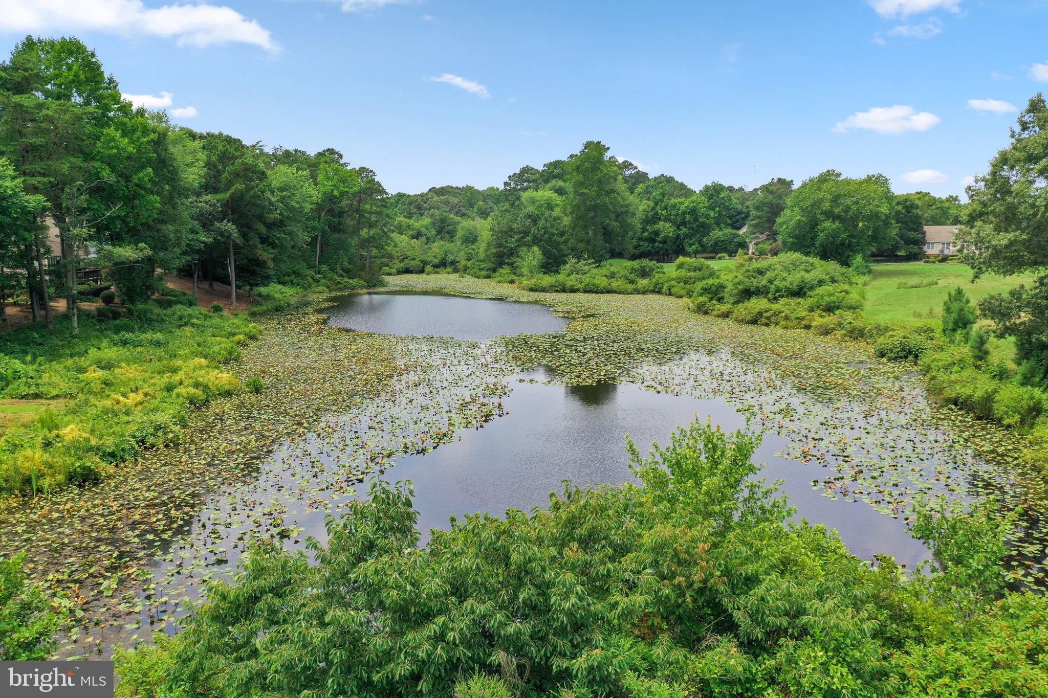 464 Middle Gate Irvington, VA 22480 - Photo 43 of 46 a view of a water pond with green yard