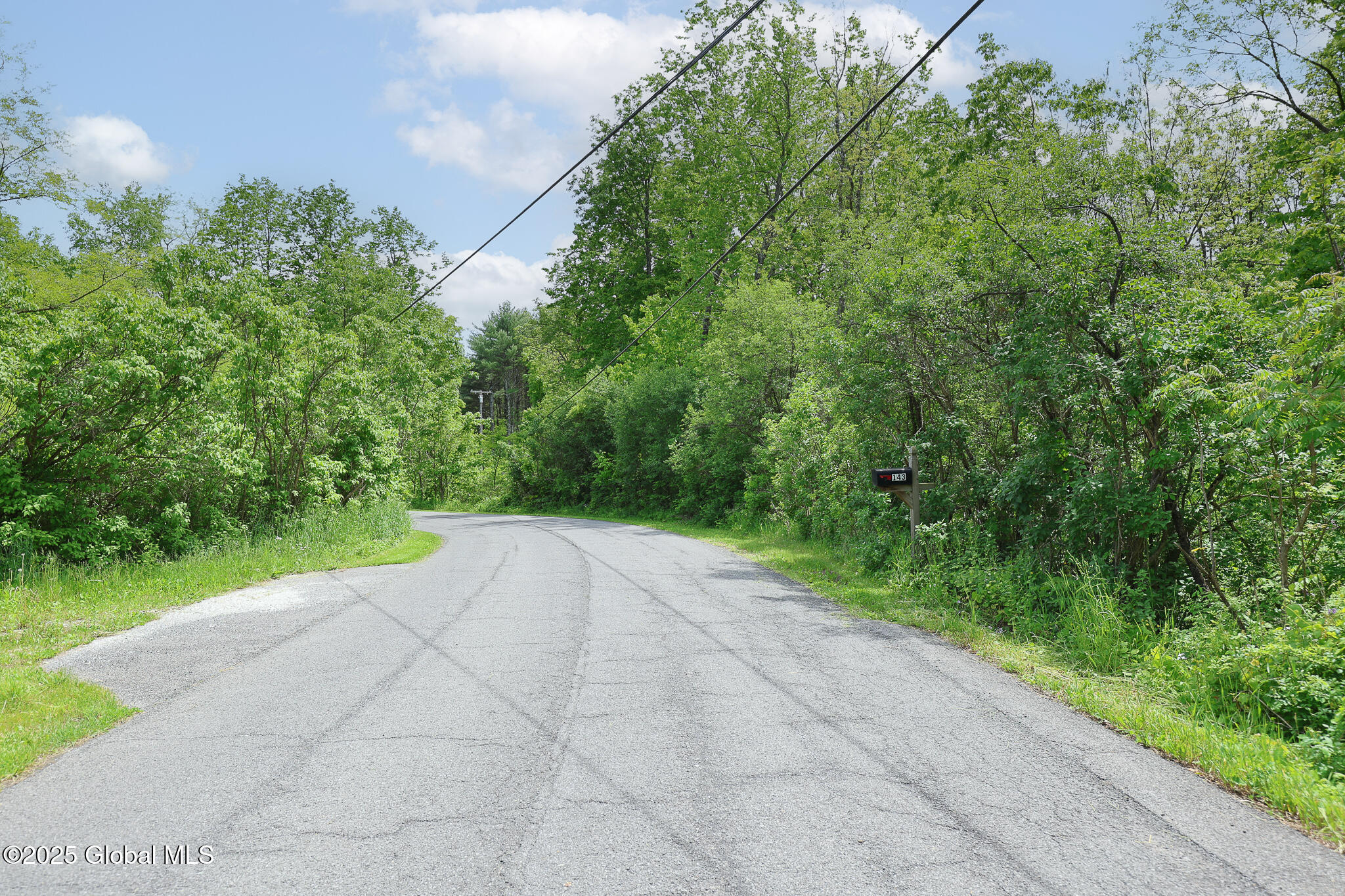 143 Rarick Road Bethlehem, NY 12158 - Photo 12 of 22 143RarickRd-3