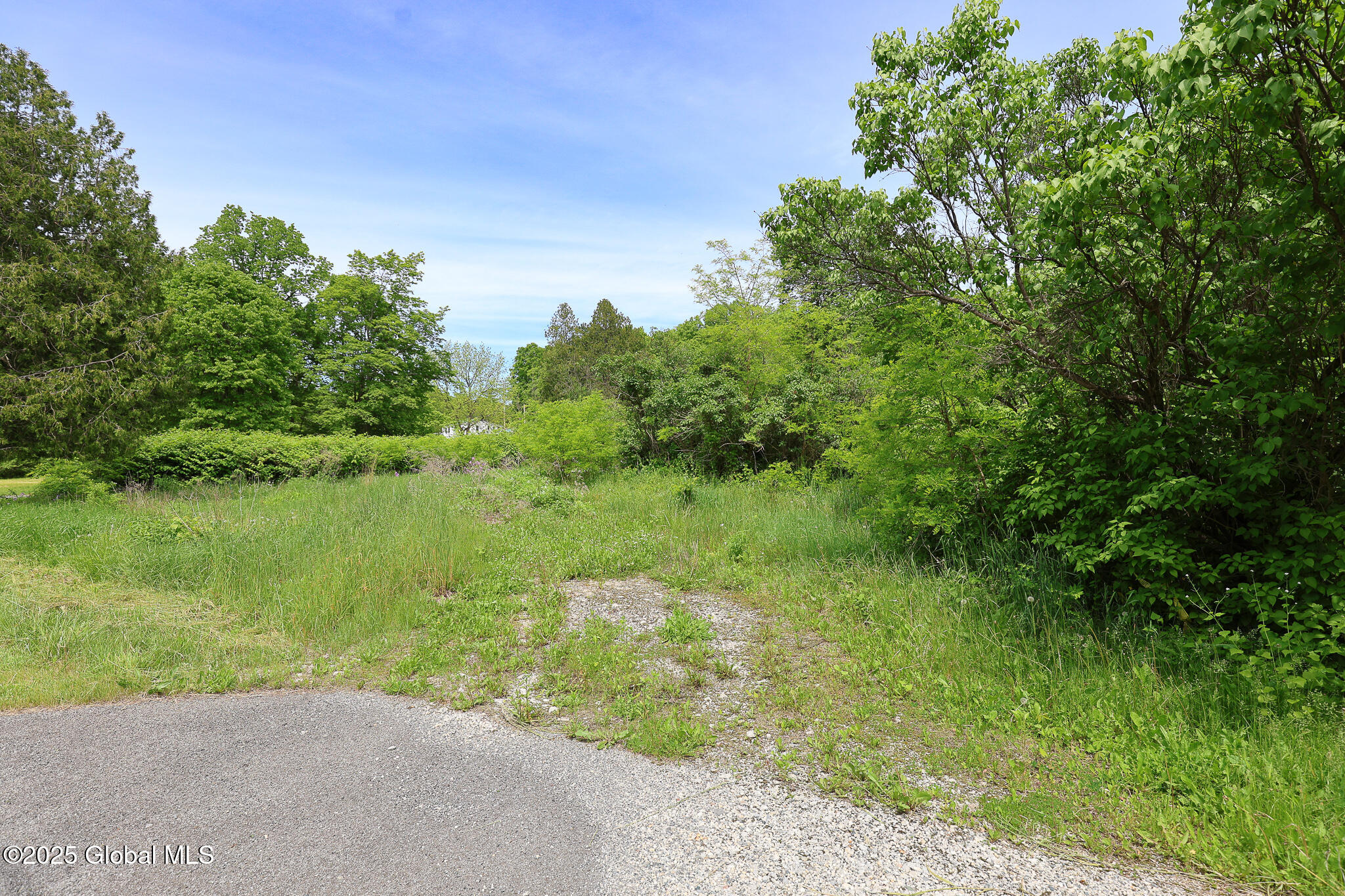 143 Rarick Road Bethlehem, NY 12158 - Photo 16 of 22 143RarickRd-5