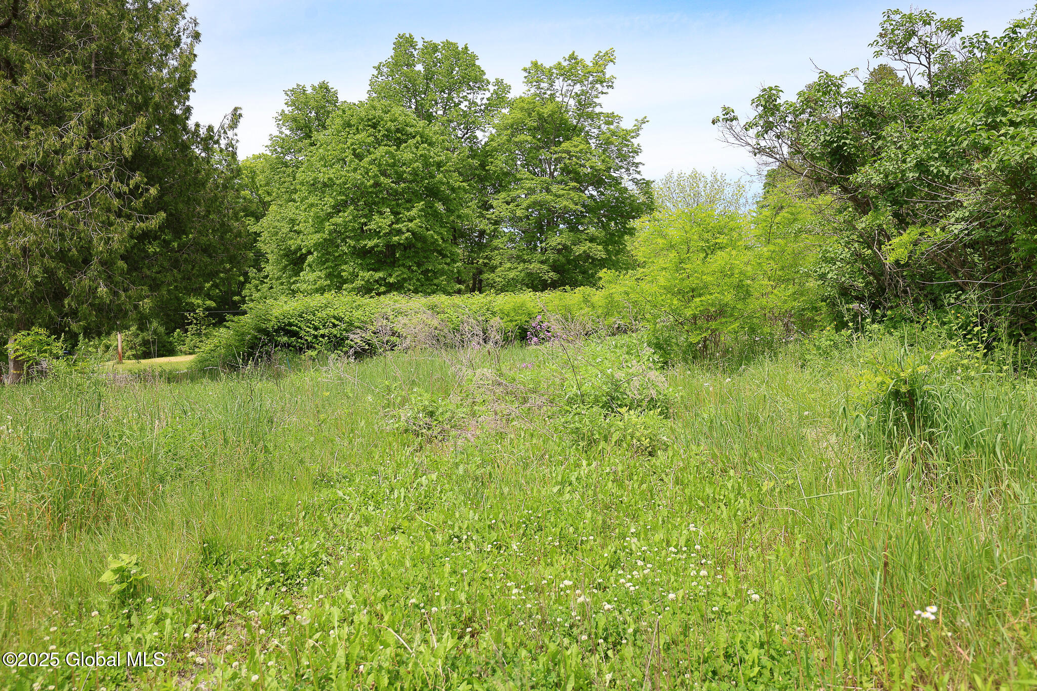 143 Rarick Road Bethlehem, NY 12158 - Photo 19 of 22 143RarickRd-8