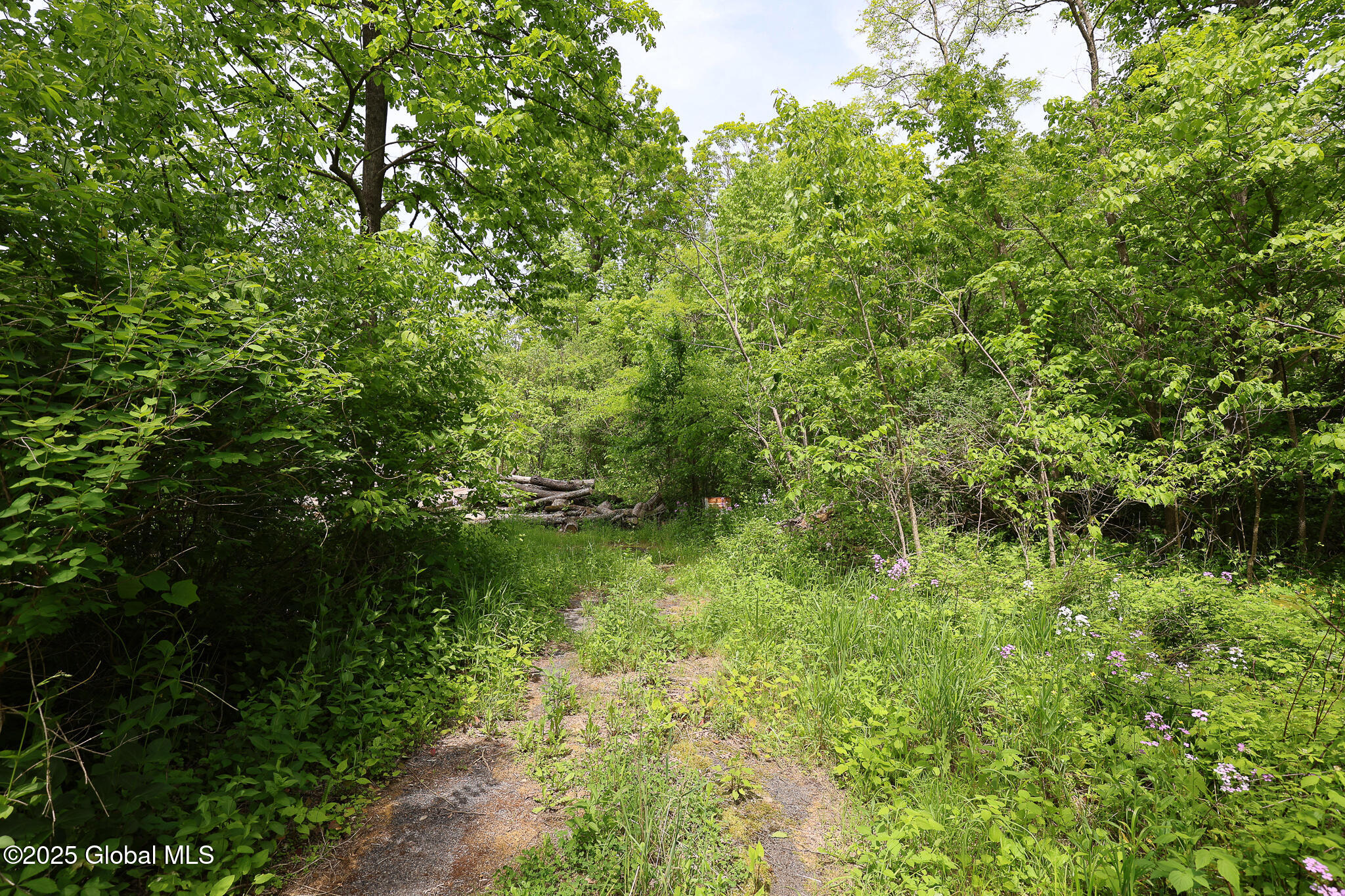 143 Rarick Road Bethlehem, NY 12158 - Photo 4 of 22 143RarickRd-10