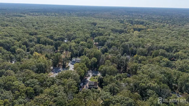 an aerial view of forest