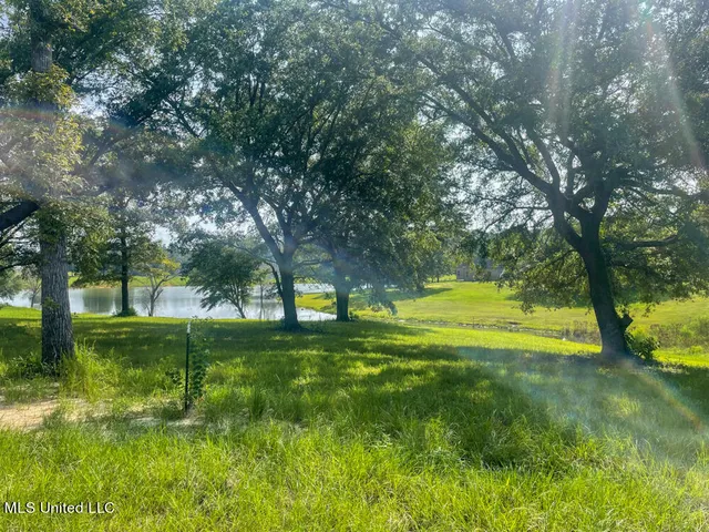 $101,040 | Lot 10 Conner Stringer Drive, Lucedale, MS 39452
