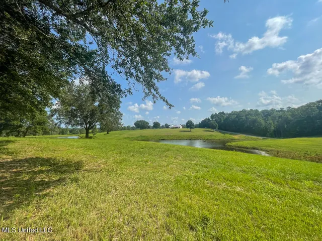 $101,040 | Lot 10 Conner Stringer Drive, Lucedale, MS 39452