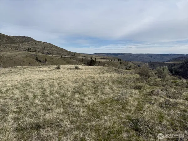 $225,000 | 2830 Antoine Creek Road, Chelan, WA 98816