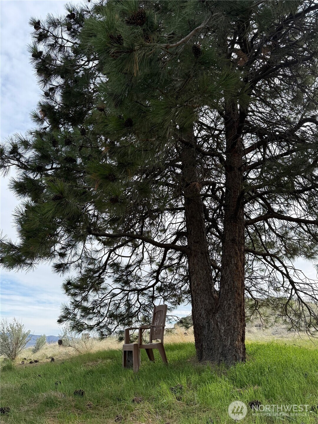 2830 Antoine Creek Road Chelan, WA 98816 - Photo 4 of 20