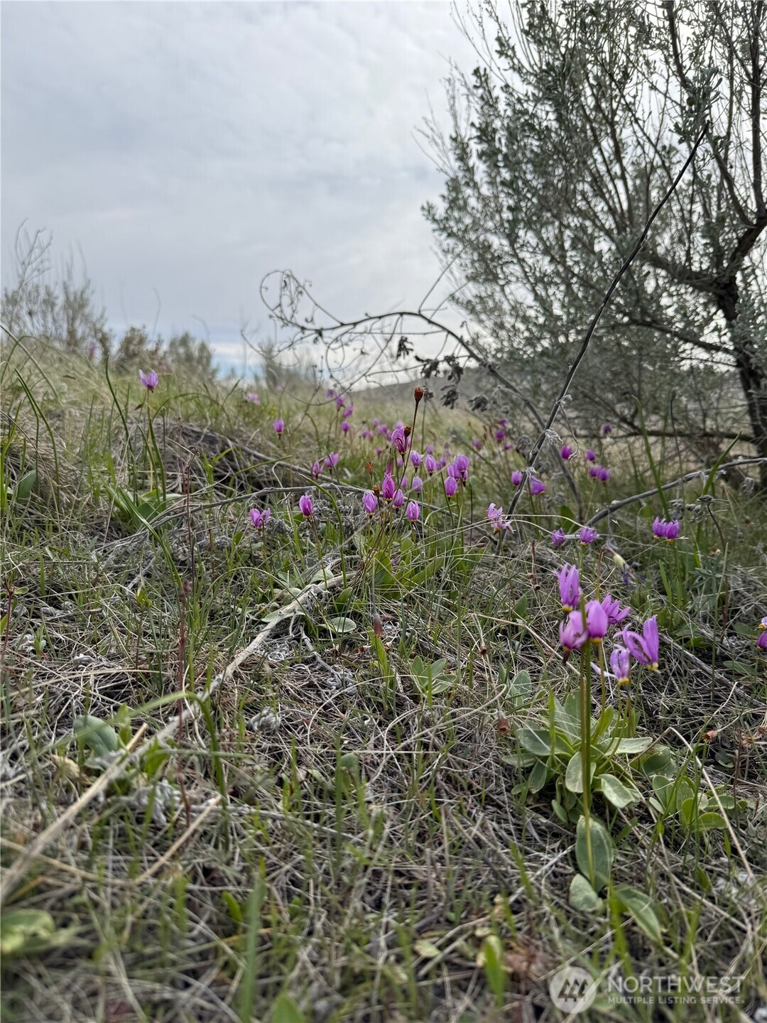 2830 Antoine Creek Road Chelan, WA 98816 - Photo 5 of 20