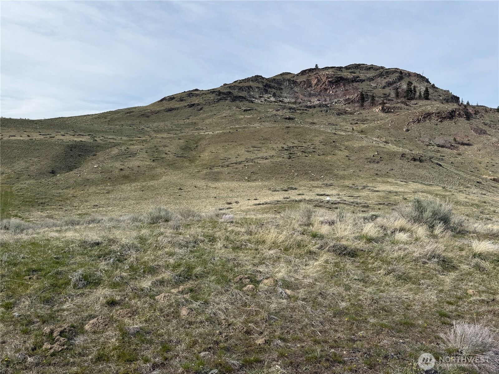 2830 Antoine Creek Road Chelan, WA 98816 - Photo 6 of 20