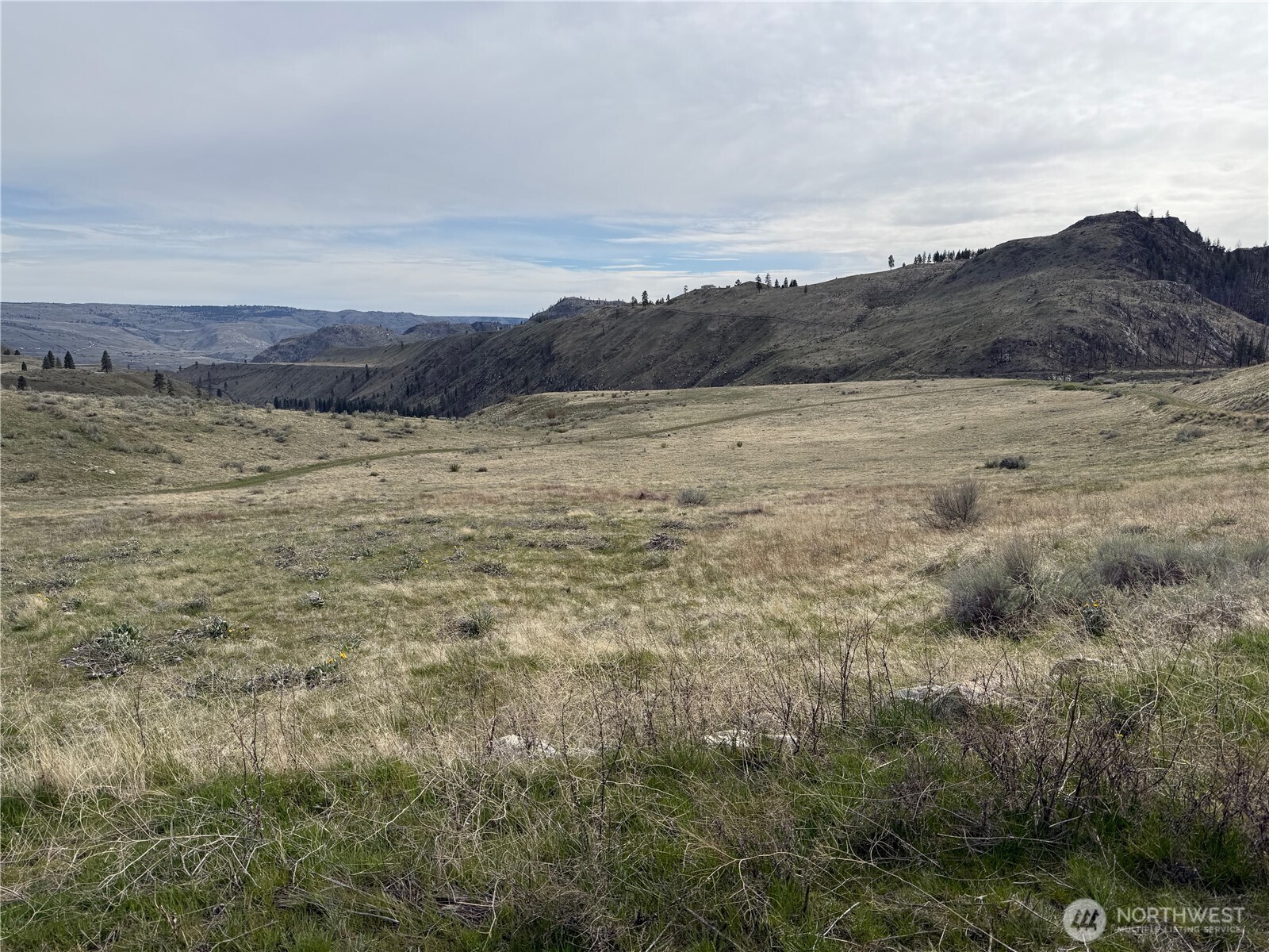 2830 Antoine Creek Road Chelan, WA 98816 - Photo 8 of 20