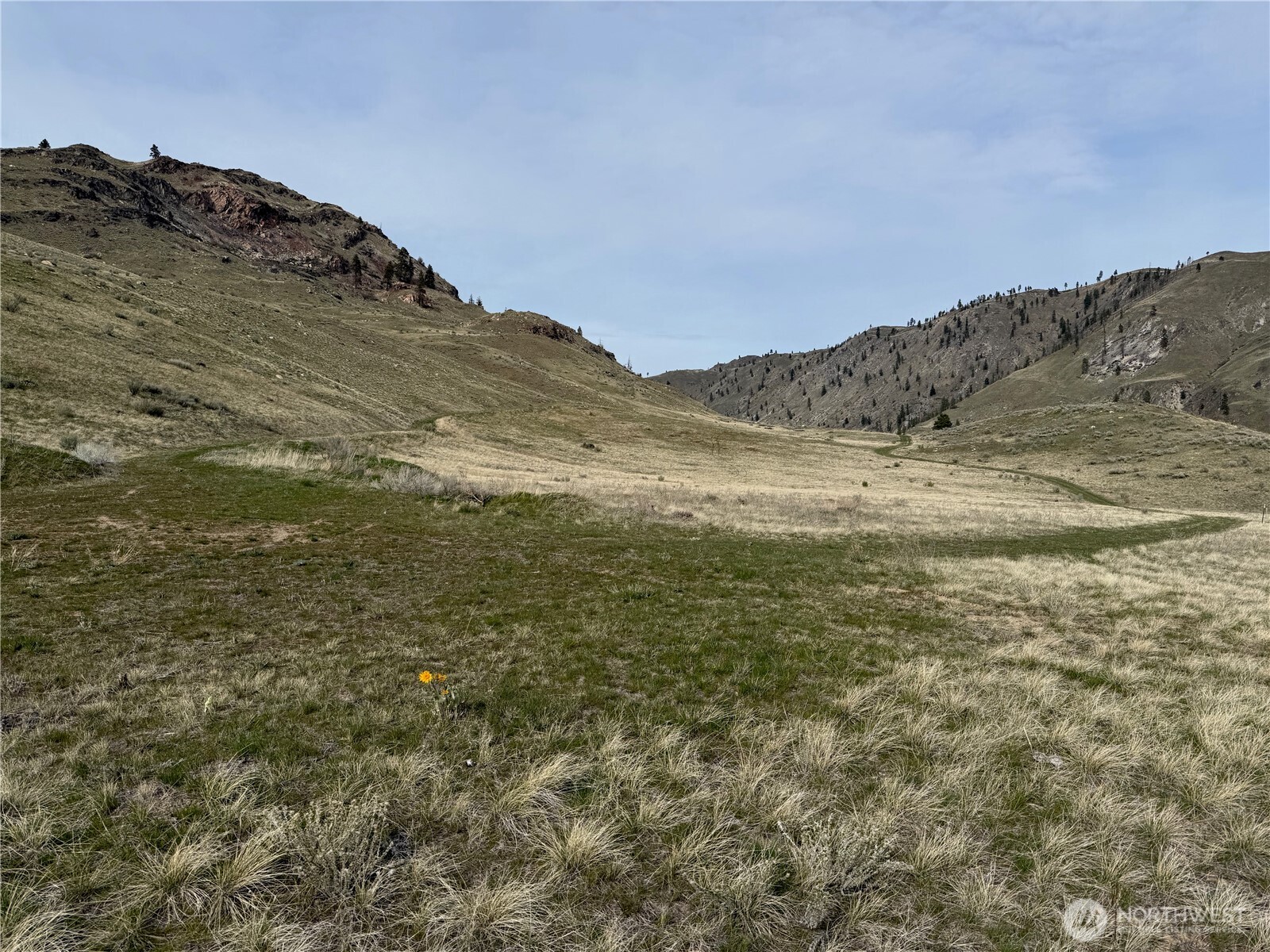 2830 Antoine Creek Road Chelan, WA 98816 - Photo 9 of 20