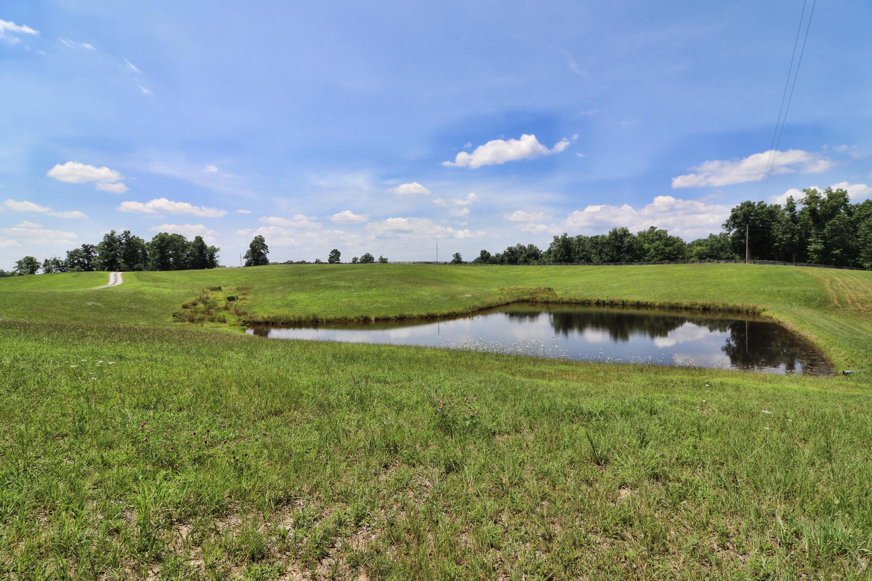 600 Dry Ridge Road Oneida, TN 37841 - Photo 24 of 26 094A6335