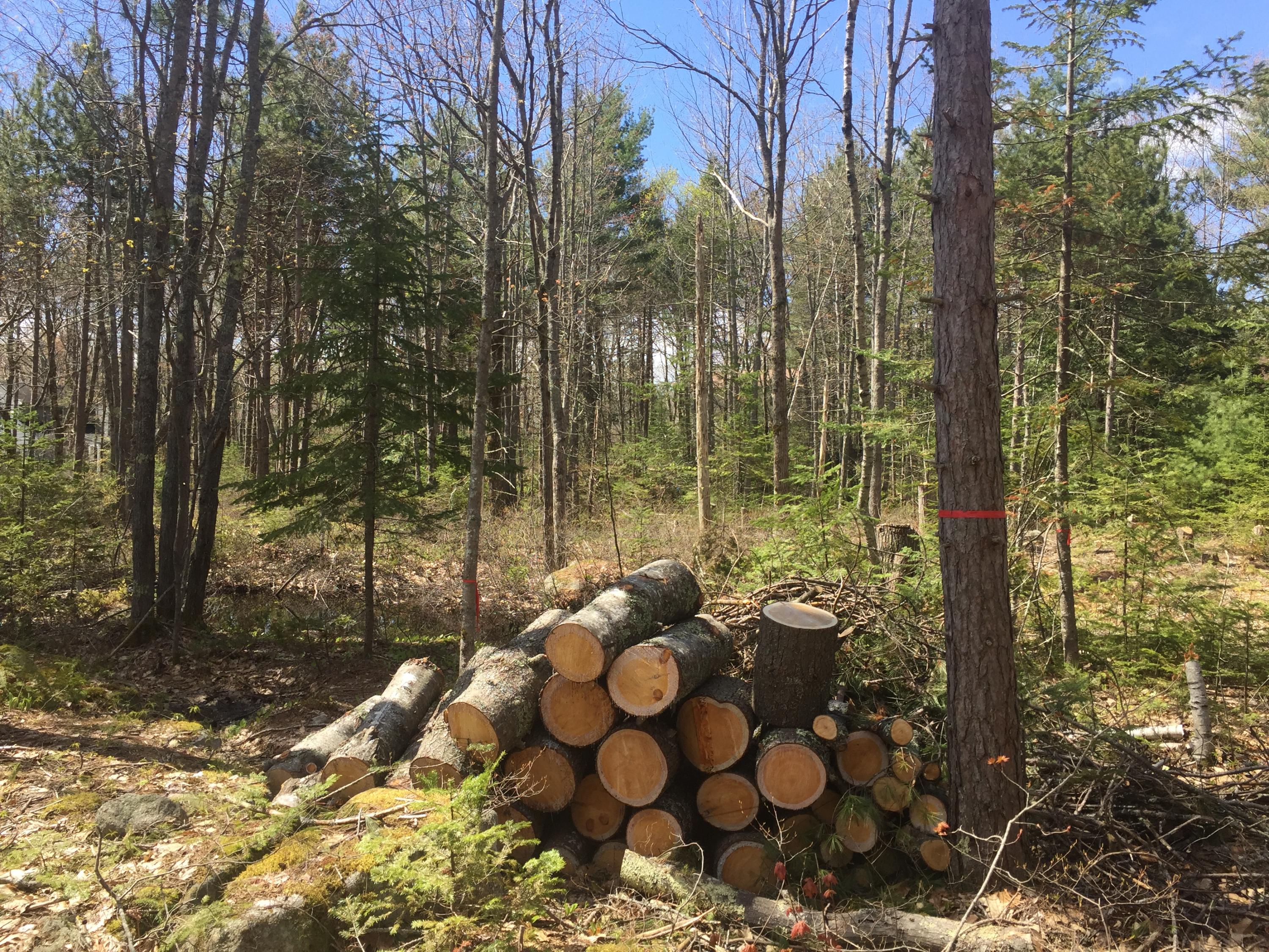 0 New Adams Road Kennebunkport, ME 04046 - Photo 7 of 18 IMG_3699