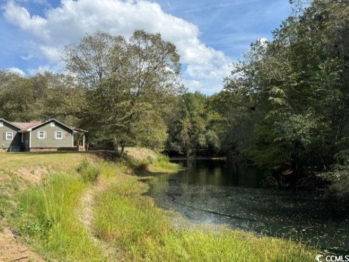 141 Nathan Road Kingstree, SC 29556 - Photo 34 of 40