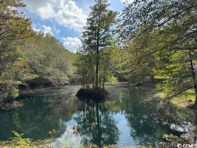 141 Nathan Road Kingstree, SC 29556 - Photo 39 of 40