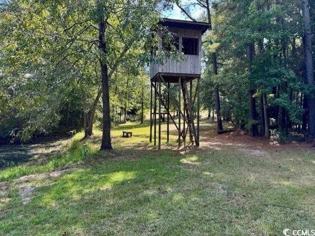 141 Nathan Road Kingstree, SC 29556 - Photo 40 of 40