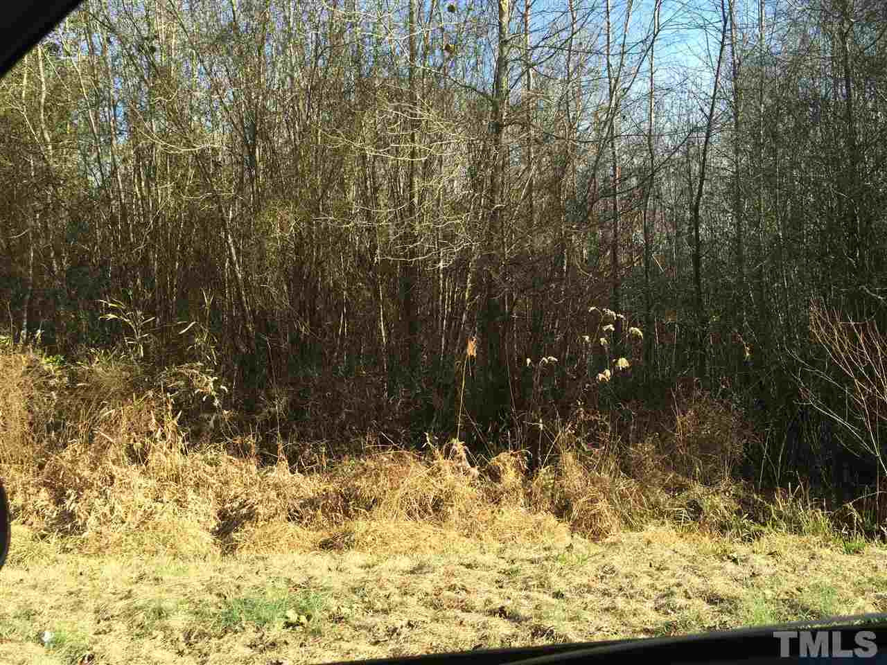 Junior Road Kenly, NC 27542 - Photo 3 of 3 Photo 3