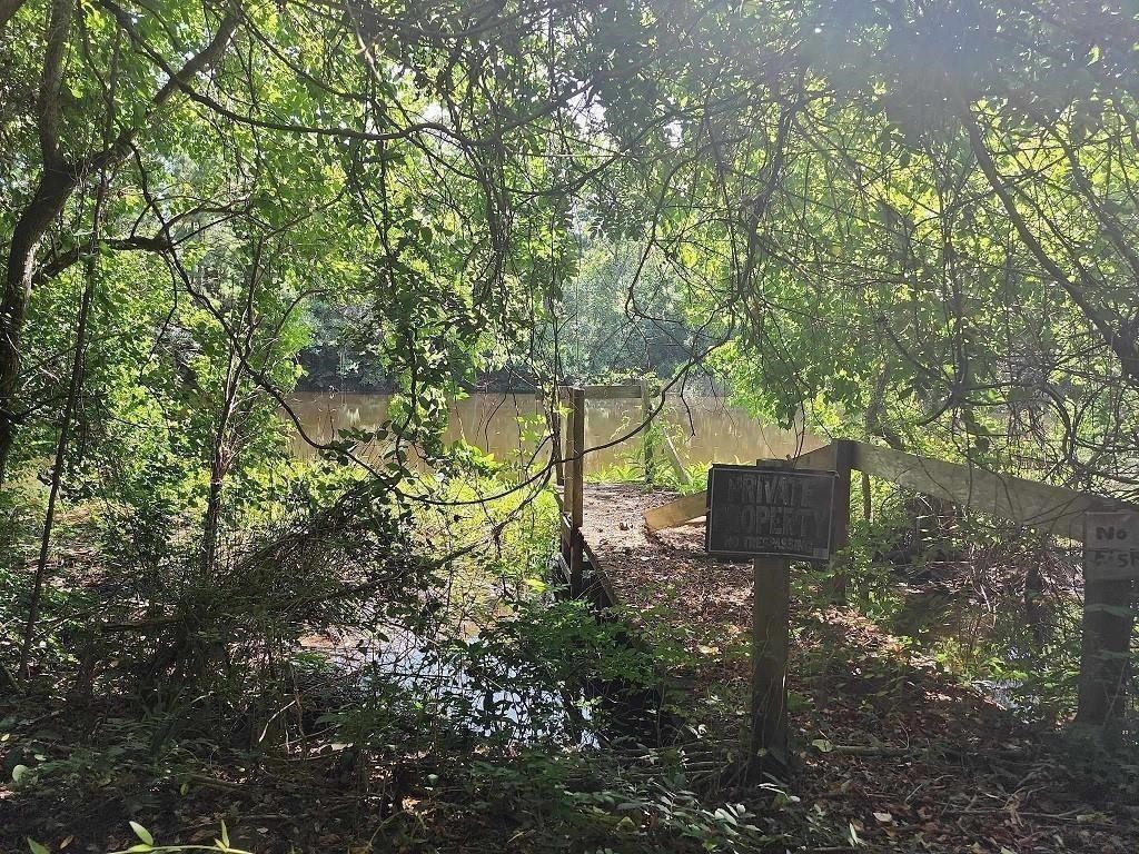 479 Upper Leggett Road Livingston, TX 77351 - Photo 3 of 6 a backyard of a house with lots of green space and fountain