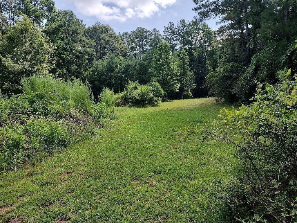 479 Upper Leggett Road Livingston, TX 77351 - Photo 4 of 6 a view of a lush green forest