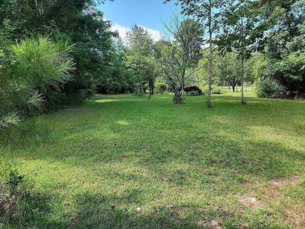 479 Upper Leggett Road Livingston, TX 77351 - Photo 5 of 6 a view of green field