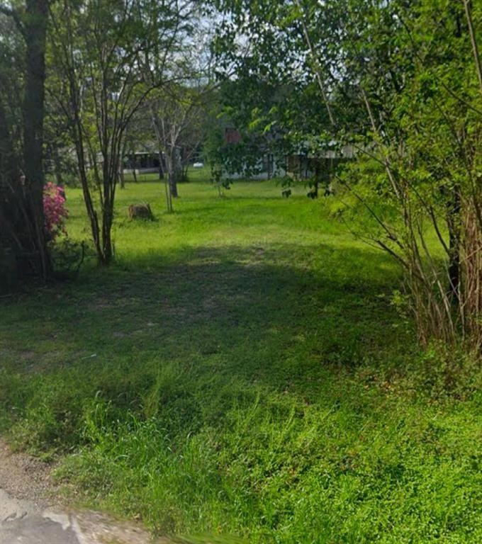 479 Upper Leggett Road Livingston, TX 77351 - Photo 6 of 6 a view of a grassy field with trees