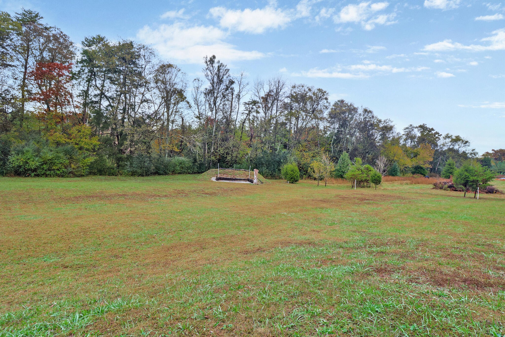 1095 Fugate Road Evensville, TN 37332 - Photo 42 of 50 a view of a field with trees in the background